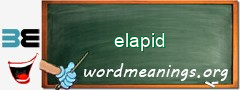 WordMeaning blackboard for elapid